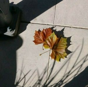 Meet your Posher, Cheri